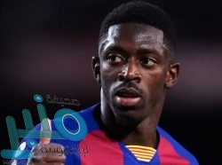 النمر: 3 أنواع من الخلافات تزيد احتمالية الإصابة بجلطة القلب