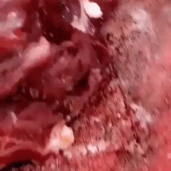 أمانة عسير تزيل عددًا من المباني المتداخلة مع وادي المنسك