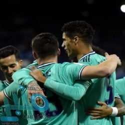 خطة “مبتكرة” لإنقاذ فيل سقط في قعر بئر