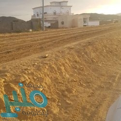 الجبير: أطلقنا سراح 400 أسير حوثي لإثبات حُسن النية.. والتدخلات الخارجية في ليبيا تزيد “الطين بلة”