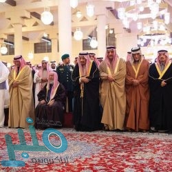 يحق للمجني عليه تحريك دعوى جزائية خاصة أمام المحكمة المختصة مباشرة