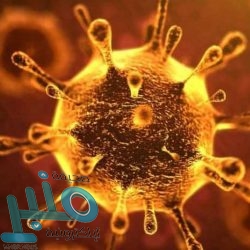 ماذا قال كلوب عن إمكانية مشاركة محمد صلاح في أولمبياد طوكيو؟