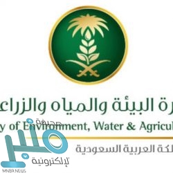 سفارة المملكة في الكويت تعلن موعد استقبال المواطنين عبر آلية «طلب موعد»