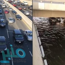 بالصور .. ملتقى “شغف النسائي” يسجل نجاح باهر ضمن (شتانا غير) بالمجاردة