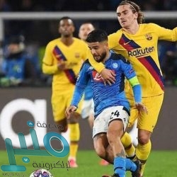 حل لغز عمره 250 عاما.. نقش محفور على صخرة قديمة