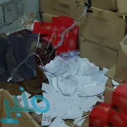 روسيا تمنع الصينيين من دخول أراضيها