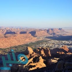 “العمل ” تبدأ إصدار وثائق العمل الحر.. وهذه أهدافها