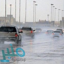 ضبط 29 مخالفة في حملات ميدانية على مطابخ شرق الطائف