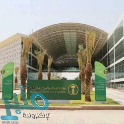 وزراء خارجية التعاون الإسلامي يصدرون البيان الختامي لاجتماعهم