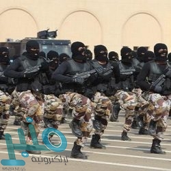 طائرة خاصة لنقل جماهير التعاون إلى الشارقة