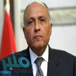 مباراة ليفربول ضد نوريتش سيتي.. ”الريدز“ يضمن التأهل إلى دوري أبطال أوروبا وعدة أرقام قياسية