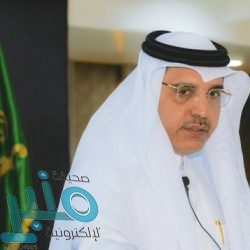 إزالة 18 مركبة متهالكة و160 لوحة دعائية في محايل