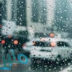 هلال الباحة يرفع جاهزية 16 مركزًا إسعافيًا