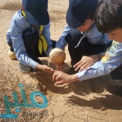 ارتفاع حصيلة الوفيات بفيروس كورونا في الصين إلى 1868 شخصا