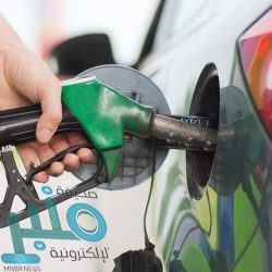 وزير الخارجية يشارك في جلسة حوارية أمام مؤتمر ميونخ للأمن