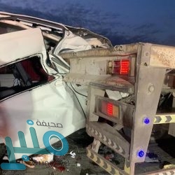 وزير الموارد البشرية : أطلقنا 20 مبادرة .. وقريبون من توطين مهن الهندسة