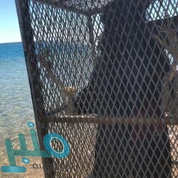 مجلس الشيوخ يرفض عزل “ترامب”.. بفارق تصويت ضئيل