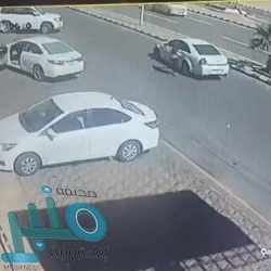 إغلاق ثلاث محلات مخالفة فى الباحة .. ومصادرة لحوم وخضروات