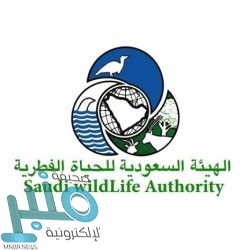 وزير التعليم يدشن معامل الذكاء الاصطناعي بجامعة الإمام عبدالرحمن بن فيصل