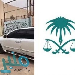 خادم الحرمين يبعث رسالة خطية للرئيس المصري عبد الفتاح السيسي