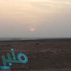 “الصحة” تكشف مدى خطورة استلام الطرود البريدية من الصين