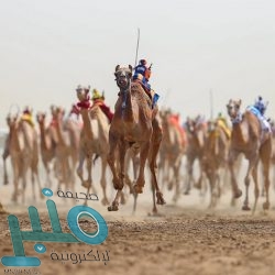 تعليم الطائف يقر خطة التطوير المهني لشاغلي الوظائف التعليمية