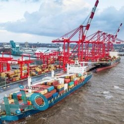 فريق خبراء يتجه للصين للتحقيق بشأن فيروس كورونا