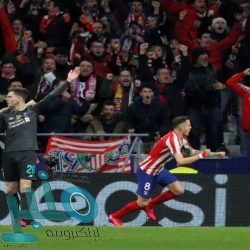 هالاند يقود بروسيا دورتموند لخطف فوز مثير من باريس سان جيرمان بدوري أبطال أوروبا (فيديو)