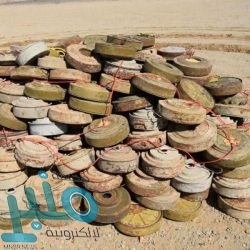 38 مليون عملية بأكثر من 10 مليارات ريال تمت عبر بطاقات “مدى” في 2019