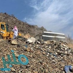 الإطاحة بتشكيلٍ عصابي تورط بارتكاب جرائم سرقة المنازل في القصيم