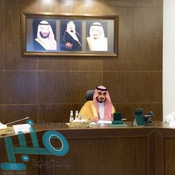 “وزارة العمل” تنفذ برنامج الكشف الطبي لمنسوبي فروع الوزارة بالباحة