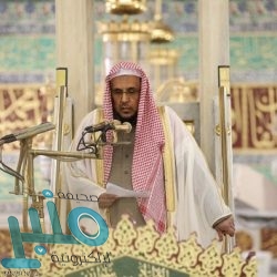 المملكة تعبر عن تضامنها مع جمهورية ألمانيا جرّاء حادثي إطلاق النار في مدينة هاناو