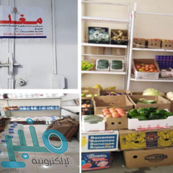 أكاديمية الجوهرة تحقق بطولة سوبر الناشئين وتطير بلقب براعم بيوت الشباب