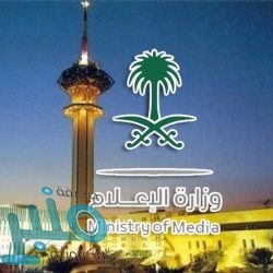 القبض على مقيم آسيوي طعن فتاة بـ«سكين» في مكة