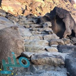 أمير الرياض يرعى حفل سباق نادي الفروسية السنوي