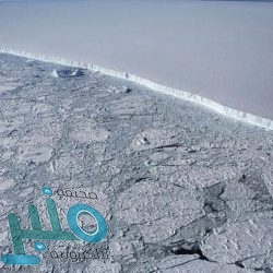 شاهد.. مراجعة لهاتف غلاكسي Z قبل طرحه رسميا ( فيديو)