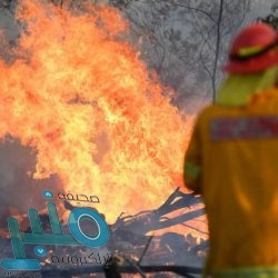 التفاصيل في “لعبة الحظ”.. مقتل نجل مذيعة مصرية ولاعب نادي بتروجيت