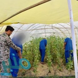 إزالة 18 مركبة متهالكة و160 لوحة دعائية في محايل