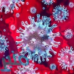 «الصحة» تعلن عن ثاني إصابة بفيروس كورونا لمواطن قادم من إيران