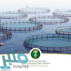 إطلاق المرحلة الأولى من مبادرة “تقدير الأضرار الطفيفة إلكترونيًا” في 40 مدينة بالمملكة