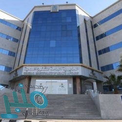 الأمن العام: تخصيص فريق عمل لتلقي طلبات التنقل بين المناطق