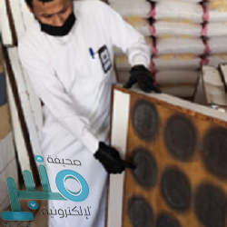 منها تمديد الإقامات المنتهية دون مقابل مالي.. أهم النقاط المتعلقة بالعمالة في تدابير الدولة لتداعيات كورونا