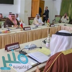 الفريق العمرو يدشن احتفال اليوم العالمي للدفاع المدني