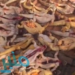 رئيس بلدية بحر أبو سكينة يشارك الفرق الرقابية في الجولات الميدانية