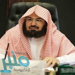 “البيئة” تطلق 30 خدمة إلكترونية جديدة