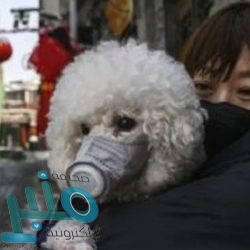 صندوق النقد الدولي يتوقع ركوداً عالمياً بسبب كورونا في 2020 وتعافياً في 2021