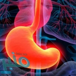 مدرب ليفربول يعترف بـ”الخطأين الكبيرين” ويوضح “سبب التراجع”