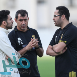 مصر تكشف حقيقة الاشتباه بحالات إصابة بكورونا على متن إحدى السفن