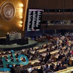 “التعليم” توضح حقيقة اعتماد درجات الفصل الدراسي الأول لختام العام الدراسي