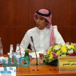 دوري أبطال أوروبا: لايبزيغ وأتالانتا يتأهلان إلى ربع النهائي على حساب توتنهام وفالنسيا (فيديو)